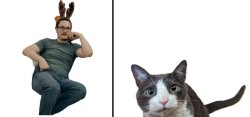 Reindeer vs. Cat Meme Template