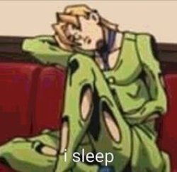 i sleep Meme Template