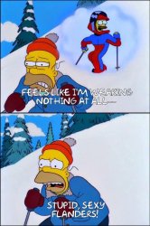 Stupid Sexy Flanders Meme Template