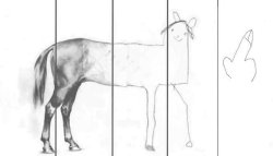 Horse Drawing extended Meme Template