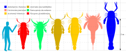 Man sea scorpions Mega Eurypterids Meme Template