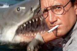 Le requin est trop petit Meme Template