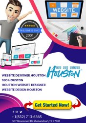 Website Designer Houston Meme Template