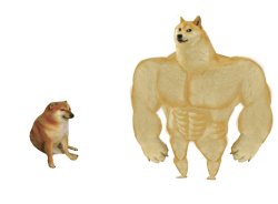 Flipped small dog big dog Meme Template