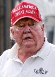 Donald Trump Old Fat Ugly Geezer JPP Meme Template