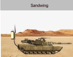 Sandwings in a nutshell Meme Template