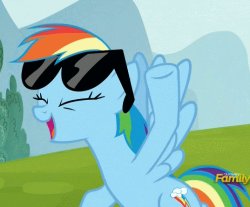 Rainbow Dash, GO GO GO! Meme Template