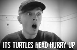Morgz Turtle's Head Meme Template