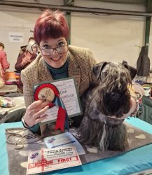 Me and Daf Meme Template