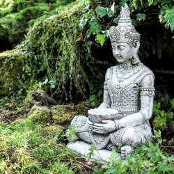 budha Meme Template