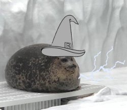 Wizard Seal Meme Template