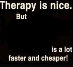 therapy is nice but Meme Template