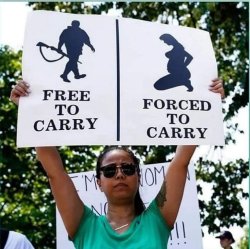 Freedom for whom? guns second amendment abortion roe v wade Meme Template