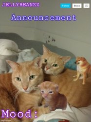 Jellybeanzz announcement template Meme Template