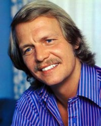 David soul Meme Template