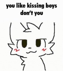 you like kissing boys don't you Meme Template