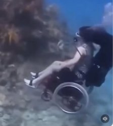 Underwater wheelchair Meme Template