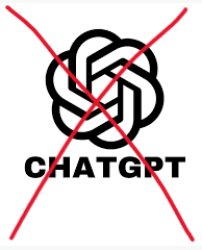 No chatgpt Meme Template
