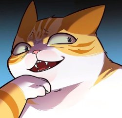 Kayden cat laughs Meme Template