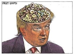Trump frontotemporal dementia nuts fruit loops crazy Meme Template