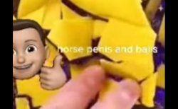 horse penis and balls Meme Template