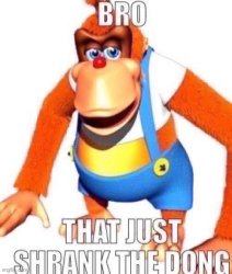 Bro you just shrank the dong Meme Template