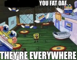 you fat oaf they’re everywhere Meme Template