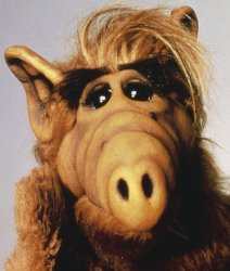 The Alf-Team Meme Template