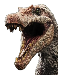 Spino head Meme Template