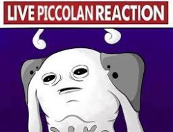 Live Piccolan Reaction Meme Template