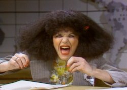 roseanne roseannadanna Meme Template