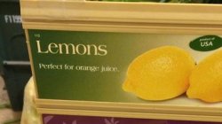 Lemons, perfect for orange juice Meme Template