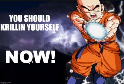 you should krillin your self now Meme Template