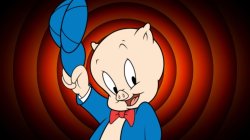 porky pig Meme Template