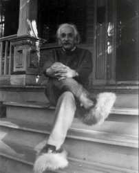 Albert Einstein 1950s fuzzy slippers Meme Template