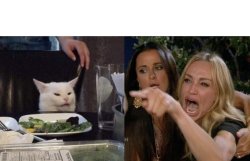 Woman Yelling At Cat Reverse Meme Template
