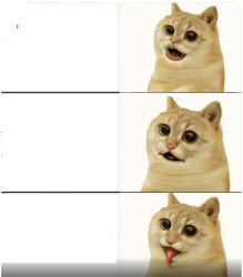 Cat Reaction Meme Template