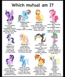 Which mutual am I MLP Meme Template