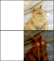 sleeping cat Meme Template