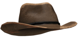 Cowboy Hat Meme Template