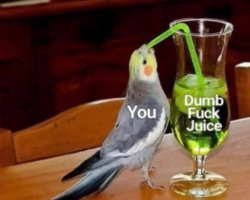 Dumb Fuck Juice Meme Template