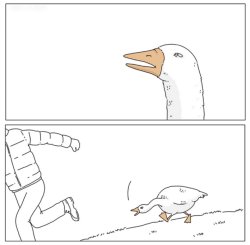 Goose chase Meme Template