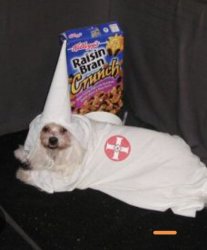 Racist dog Meme Template