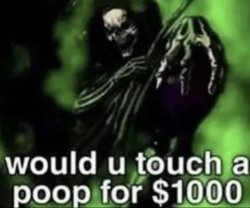 would u touch a poop for $1000 Meme Template