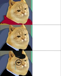 Cat Reaction Meme Template