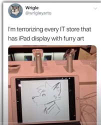 WHY Meme Template