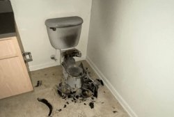 Shattered Toilet Meme Template