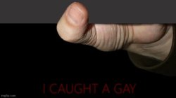 I caught a gay (bottom) Meme Template