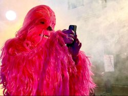 Pink Wookie Meme Template