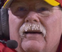 Andy Reid Meme Template